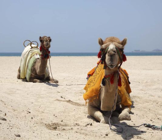 Kort om Dubai